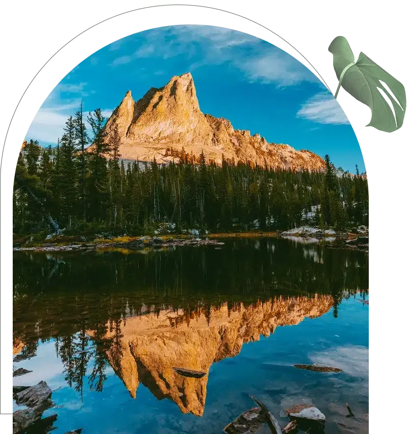 Mountain peak reflected in a calm lake surrounded by evergreen trees under a clear blue sky